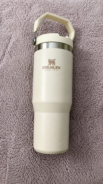 Stainless Steel Tumbler with Straw - Black