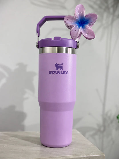 Stainless Steel Tumbler with Straw - Black