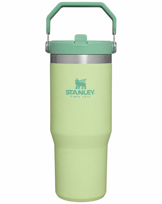 Stanley IceFlow Stainless Steel Tumbler with Straw - Green
