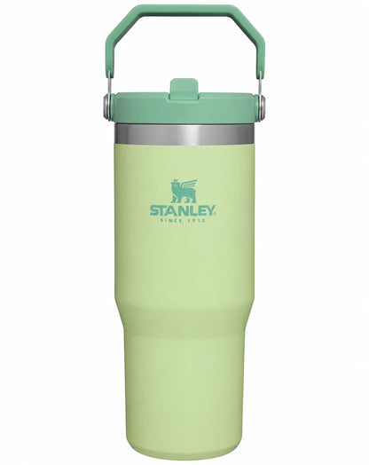 Stanley Ice-Flow Stainless Steel Tumbler with Straw – Green