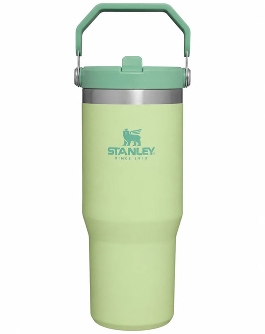 Stanley Ice-Flow Stainless Steel Tumbler with Straw – Green
