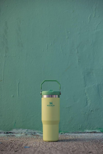 Stanley IceFlow Stainless Steel Tumbler with Straw - Green