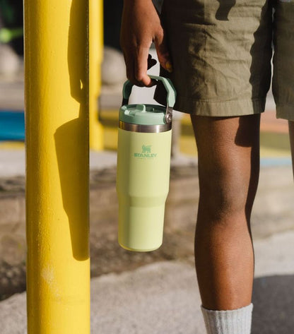 Stanley IceFlow Stainless Steel Tumbler with Straw - Green