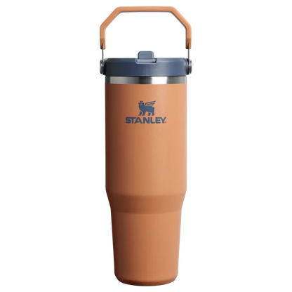 Stanley IceFlow Stainless Steel Tumbler with Straw - Orange