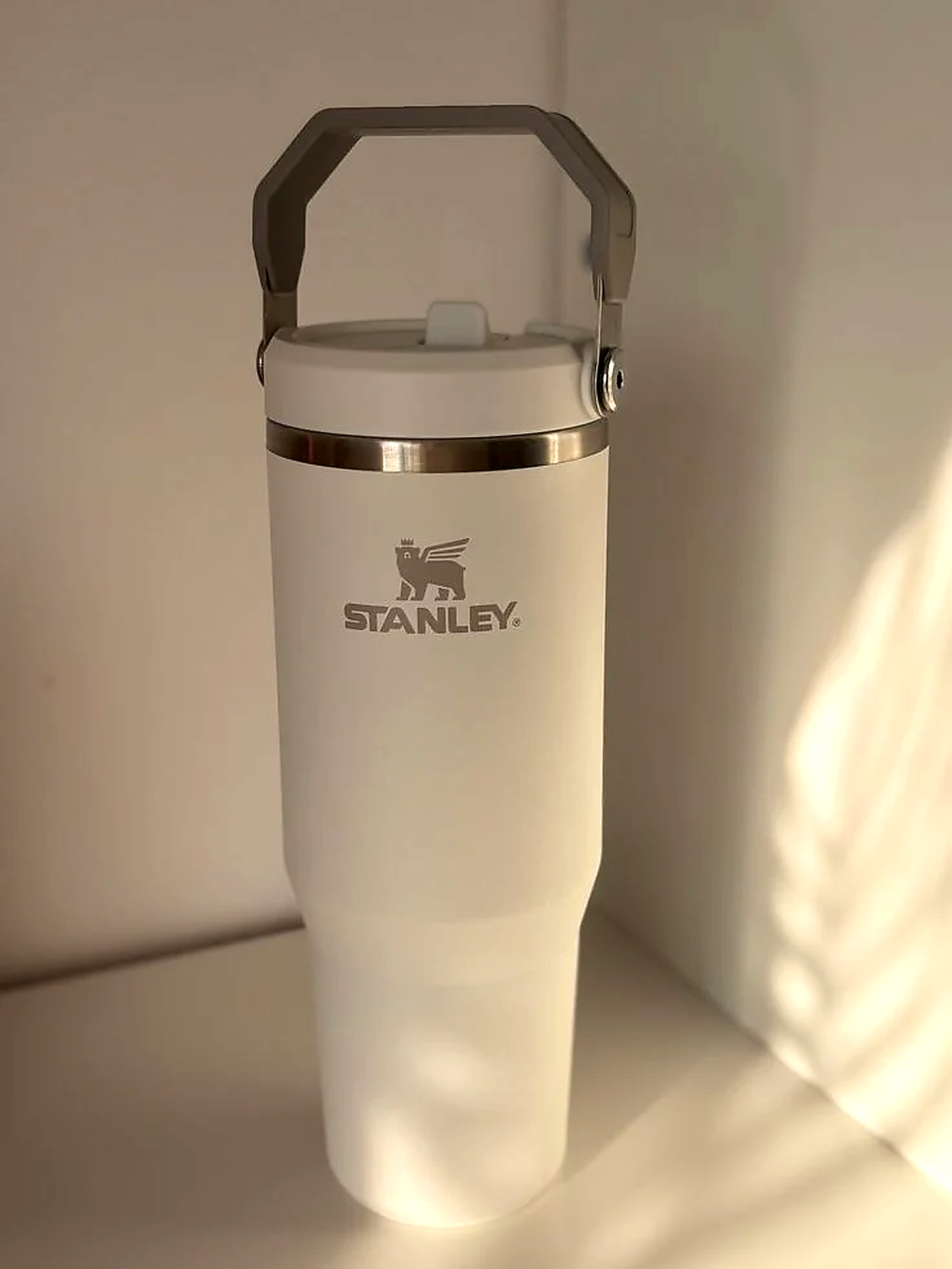 Stainless Steel Tumbler with Straw - Black